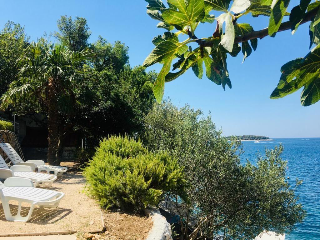 Premium Oaza Διαμέρισμα Primošten Εξωτερικό φωτογραφία